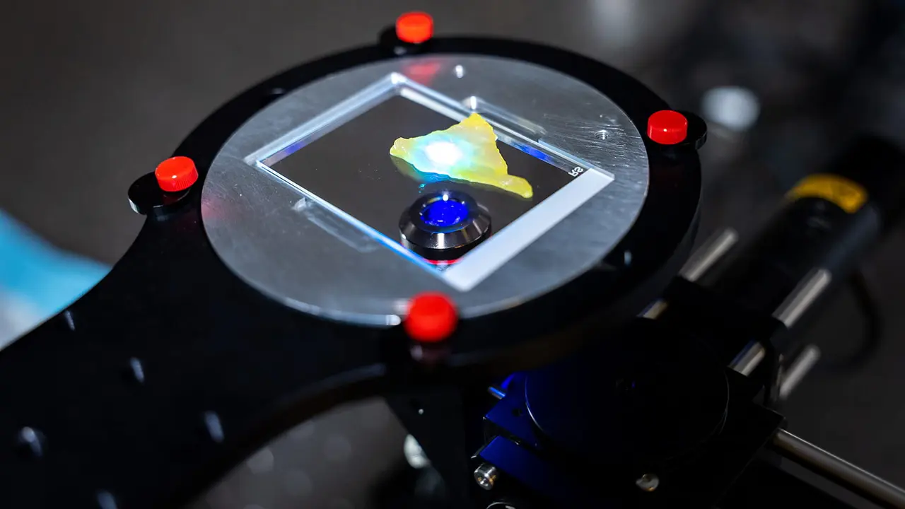 Depth-of-Field Microscope (Mikroskop Berbasis Kecerdasan Buatan) dipakai mengamati jaringan. Kredit: