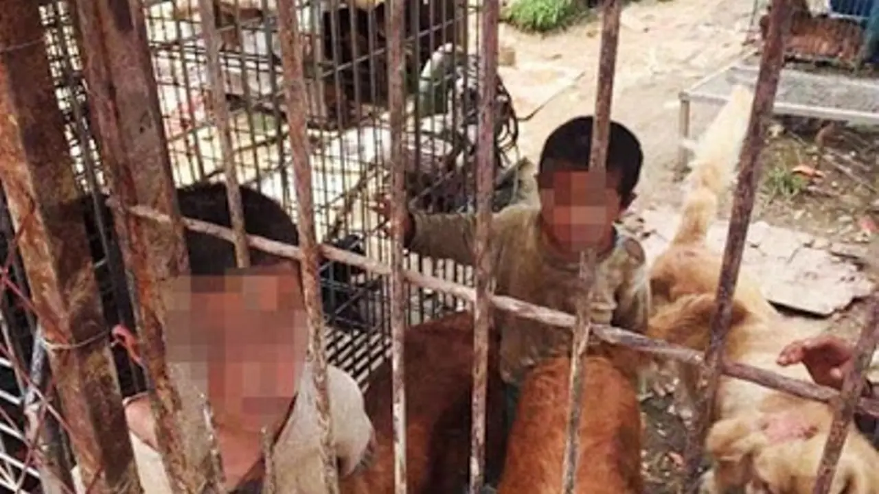Tragis, Dua Kakak Beradik Ditemukan Tinggal di Kandang Anjing