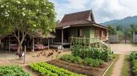 10 Model Rumah Kampung 1 Lantai dengan Halaman Depan Luas, Bisa Jadi Area Produktif