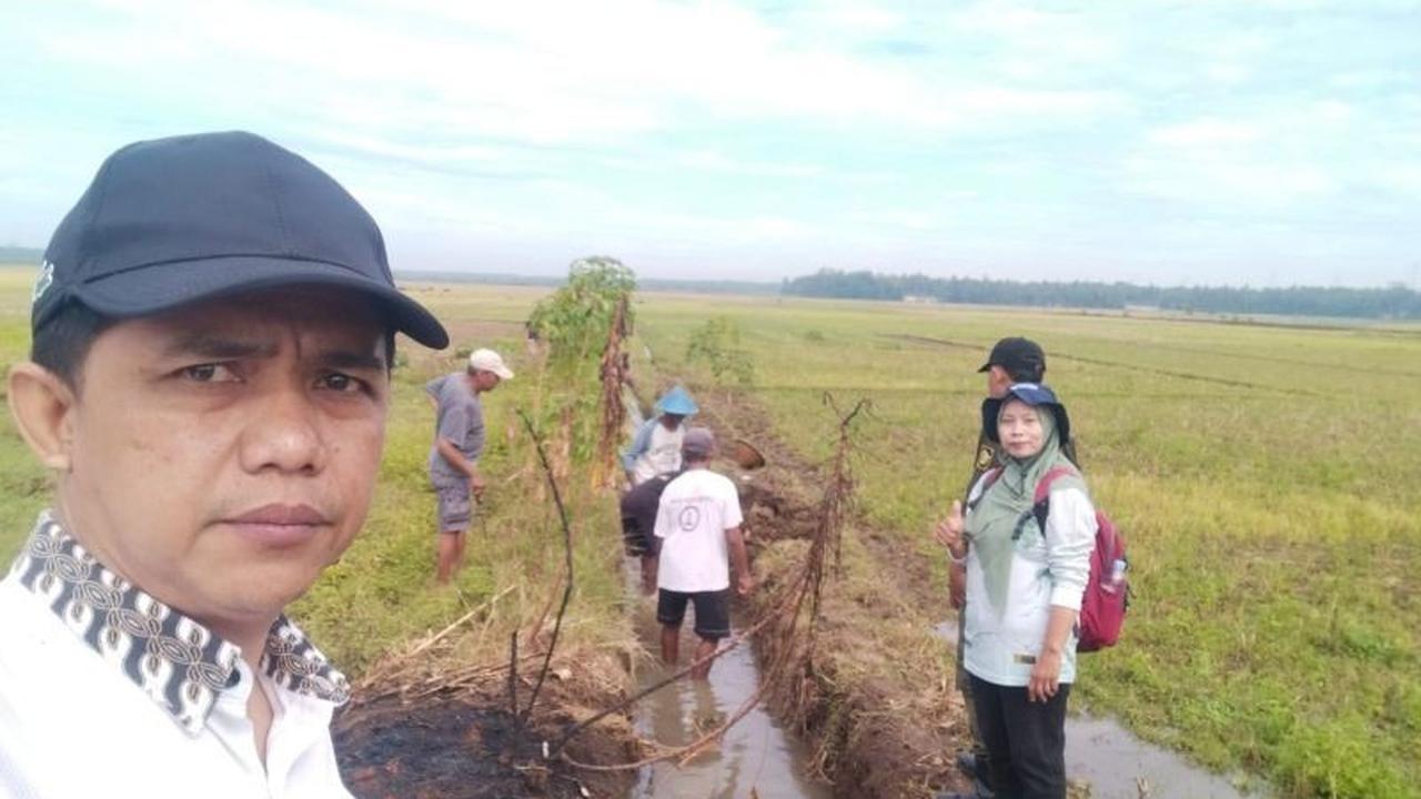 Kulon Progo Waspada Kemarau dan Wereng, Dinas Pertanian Siapkan Mitigasi Komprehensif