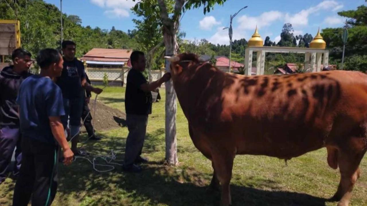 Prabowo Rutin Berkurban untuk Warga Babakan Madang Hambalang