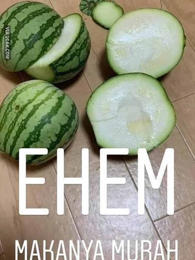 6 Momen Apes saat Mau Makan Semangka Ini Bikin Geregetan