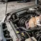 16 Cara Mencegah Kucing Masuk ke Mesin Mobil, Begini Mengusirnya Sebelum Terlanjur Masuk
