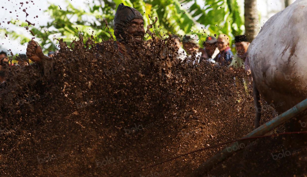 Joki melepas Jawi saat diterpa lumpur pada ajang Pacu Jawi di Tanah Datar, Sumatera Barat, Sabtu (13/8/2016). (Bola.com/Nicklas Hanoatubun)