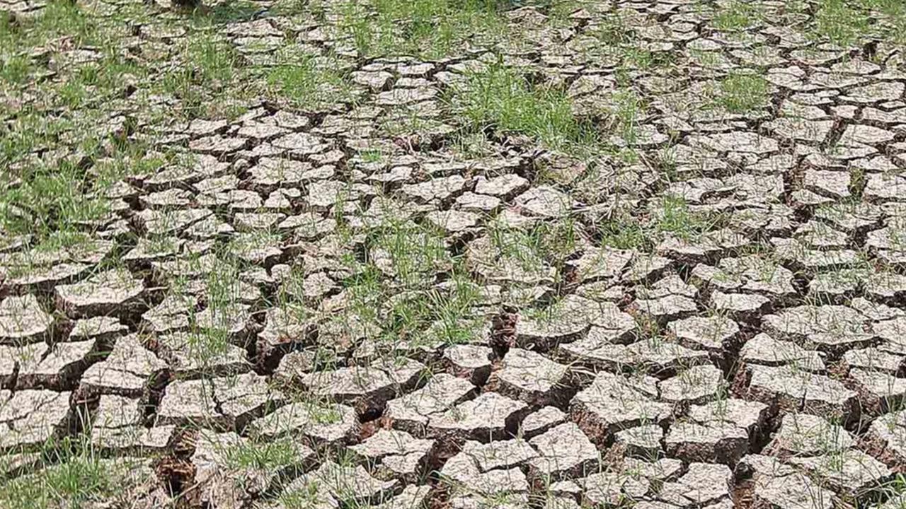 Sementara itu, Kepala BPBD Kabupaten Tangerang Ujat Sudrajat menambahkan bahwa pihaknya kini mulai memetakan wilayah rawan kekeringan akibat kemarau panjang sebagai dampak El Nino.<br>