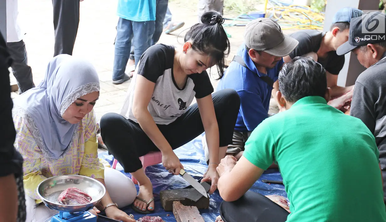 Penyanyi dangdut Ayu Ting Ting mengasah pisau untuk memotong daging kurban di kediamannya, Depok (1/9). Pada tahun ini Ayu Ting Ting berkurban sapi sebanyak 3 ekor di kediamannya. (Liputan6.com/Herman Zakharia)