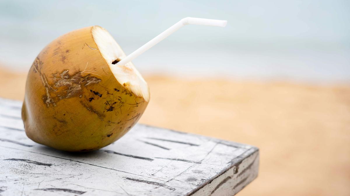 Manfaat Air Kelapa untuk Kesehatan Tubuh Sehari-hari