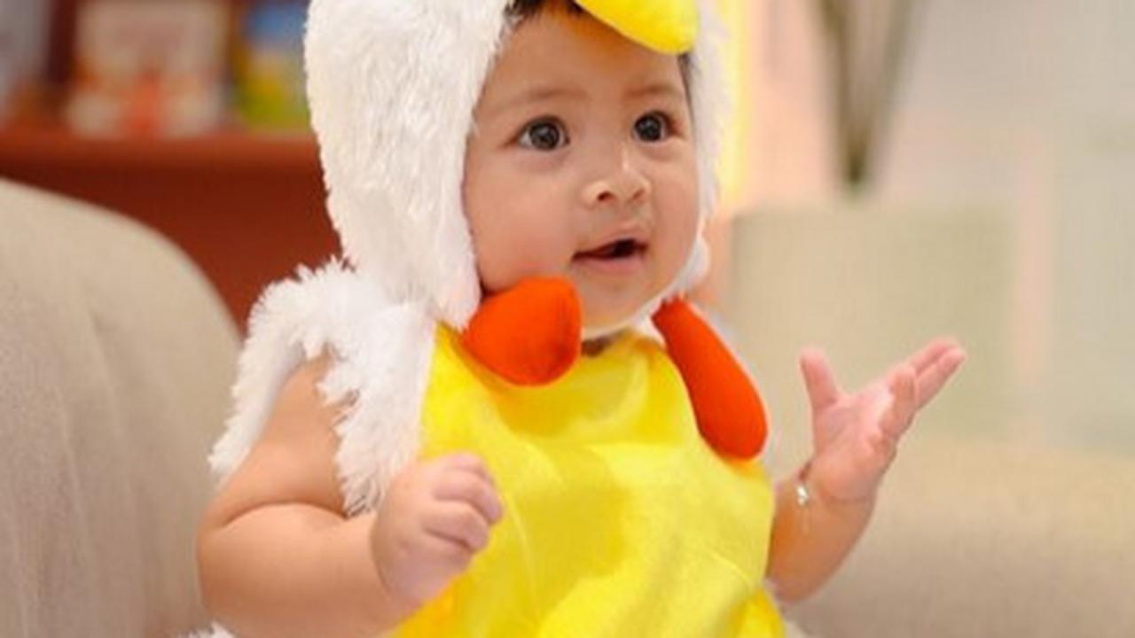 3 Foto Baby Lily Jalani Pemotretan Pakai Kostum Ayam, Diapit Kedua Kakak Ganteng Rafathar & Rayyanza