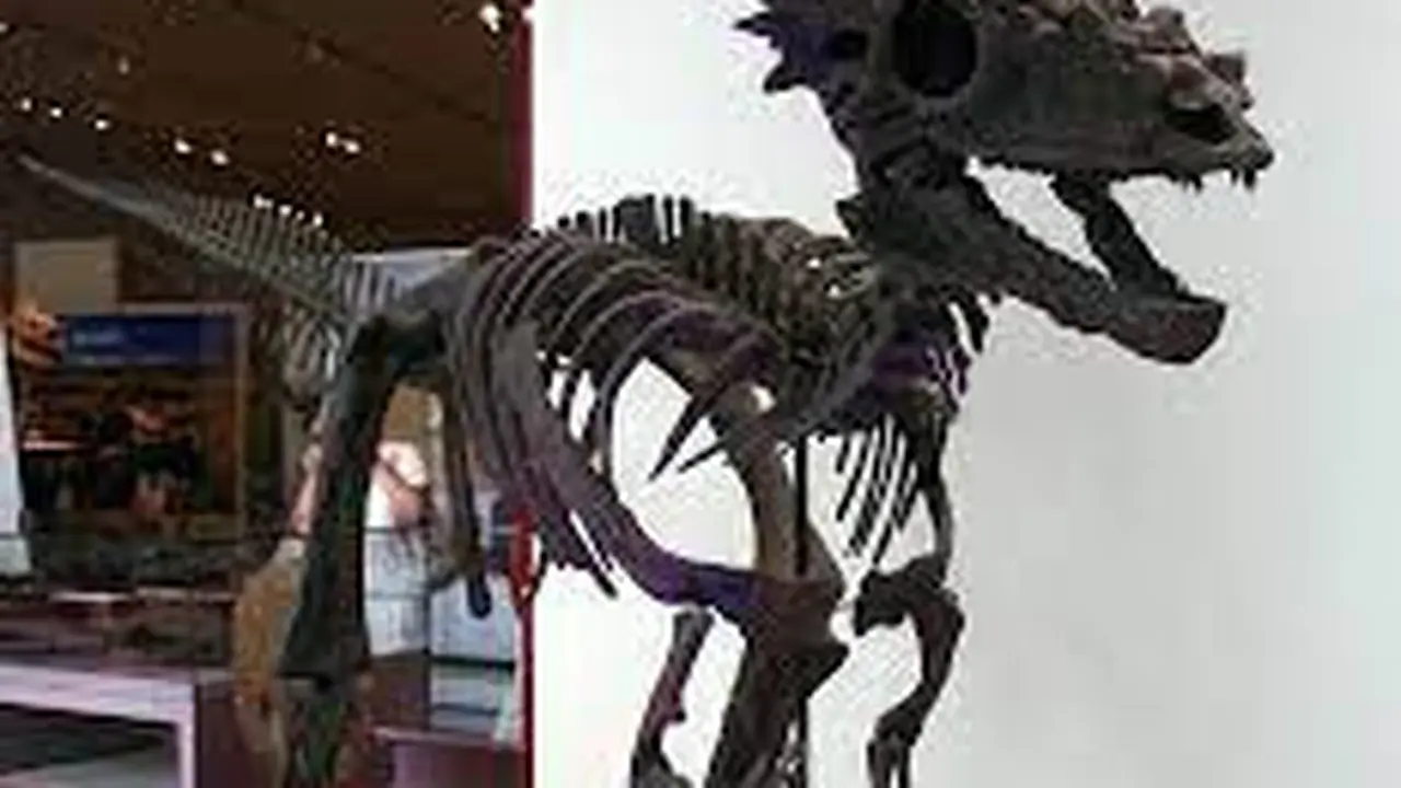 Mengungkap Misteri Dua Spesies Dinosaurus Terbaru dengan Bentuk yang Unik