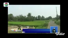 Ada-ada saja ulang sejumlah hewan ini. Diduga karena habitatnya terganggu, ada hewan yang masuk ke permukiman, ada juga yang menyerang hingga menewaskan warga.