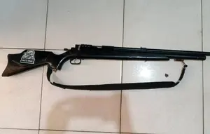 Emosi Memuncak, Pria di Pesisir Barat Tembak Tetangganya