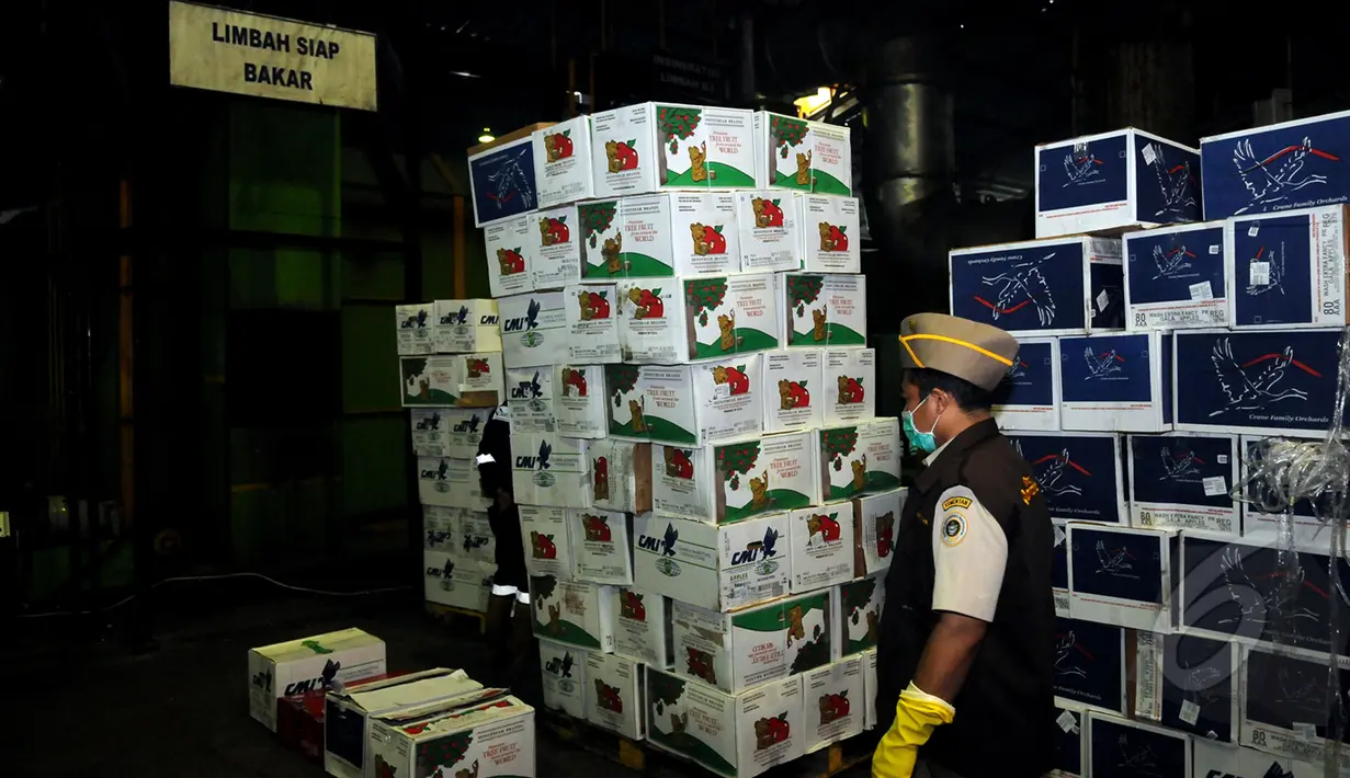 Badan Karantina Pertanian memusnahkan 36,3 ton apel berbakteri asal AS dengan alat pembakar di Karawang, Jawa Barat, Jumat (6/3/2015). Tampak salah satu petugas memeriksa tumpukan kardus berisi apel yang akan dimusnahkan. (Liputan6.com/Helmi Fithriansyah)