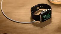 Para pengguna bisa mengirim pesan singkat yang telah disediakan, lokasi, "like", stiker dan pesan suara melalui Apple Watch.