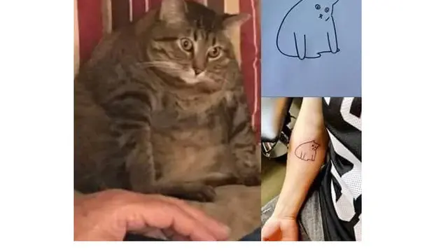 6 Tato Bentuk Kucing Ini Bentuknya Nyeleneh, Bikin Ngakak