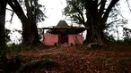 (Liputan6.com)