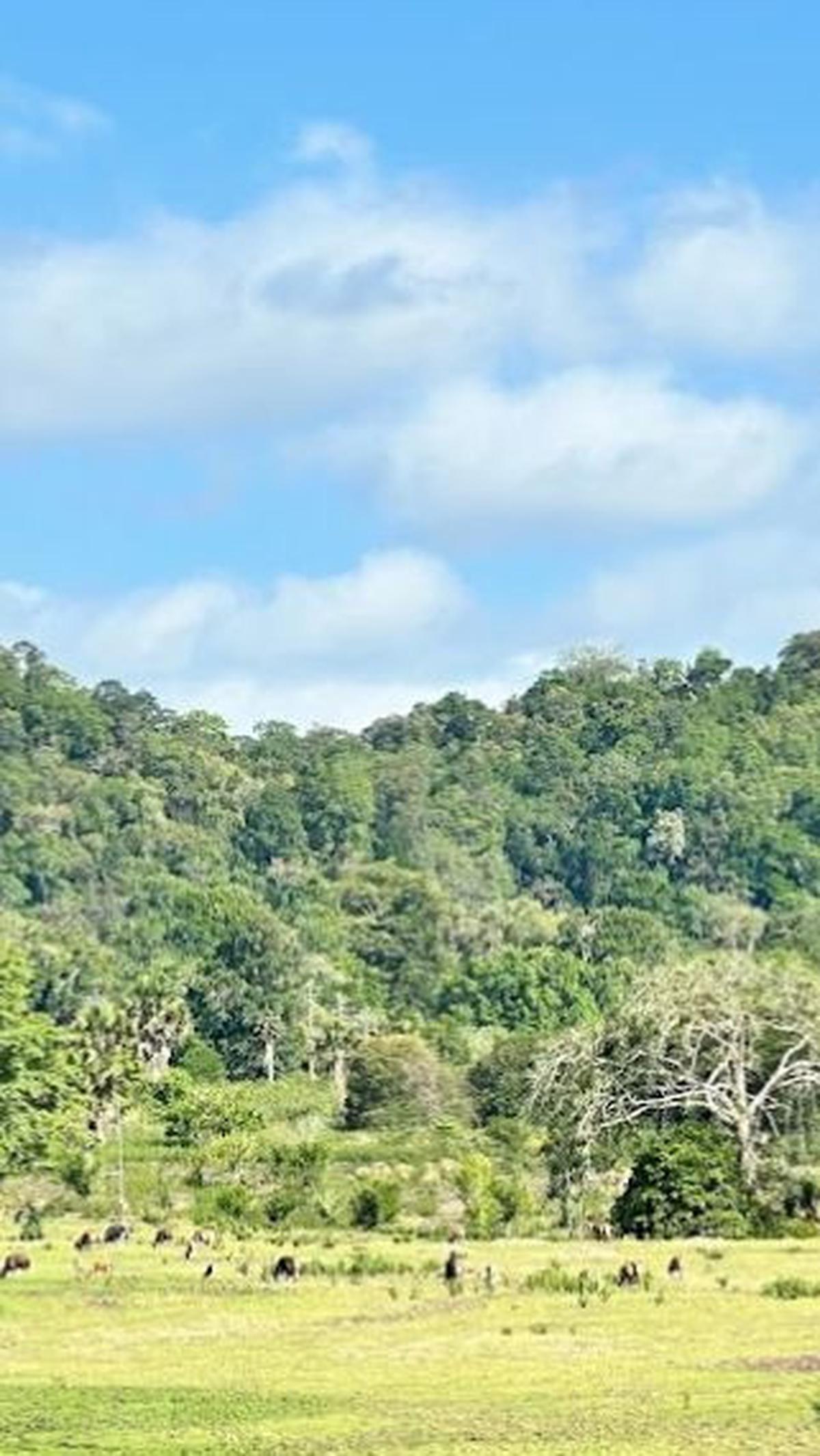 7. Taman Nasional Alas Purwo<br>