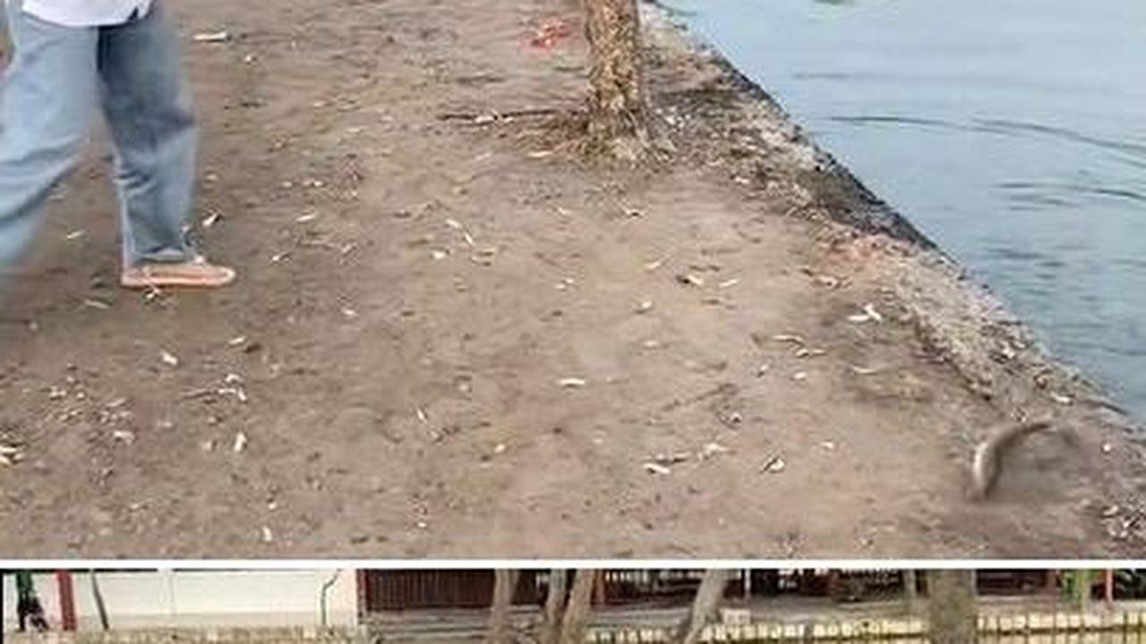 Viral Momen Kocak Wanita saat Mancing, Udah Dapat Ikan Malah Kabur