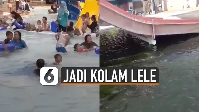 Sebuah video kolam renang berubah jadi kolam budi daya ikan lele viral di media sosial.