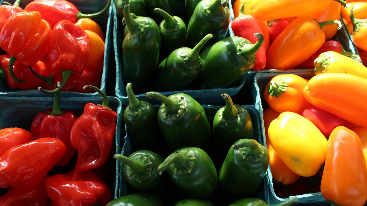 10 Jenis Cabai di Dunia, Ini Varietas yang Bisa Ditanam Sendiri di Indonesia