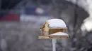 Salju menutupi rumah burung di halaman Museum Anak Denver di Kampus Marsico, Denver (27/1/2022). Badai musim dingin yang bergerak cepat turun hingga setengah kaki salju di wilayah metropolitan Denver sebelum pindah ke dataran timur. (AP Photo/David Zalubowski)