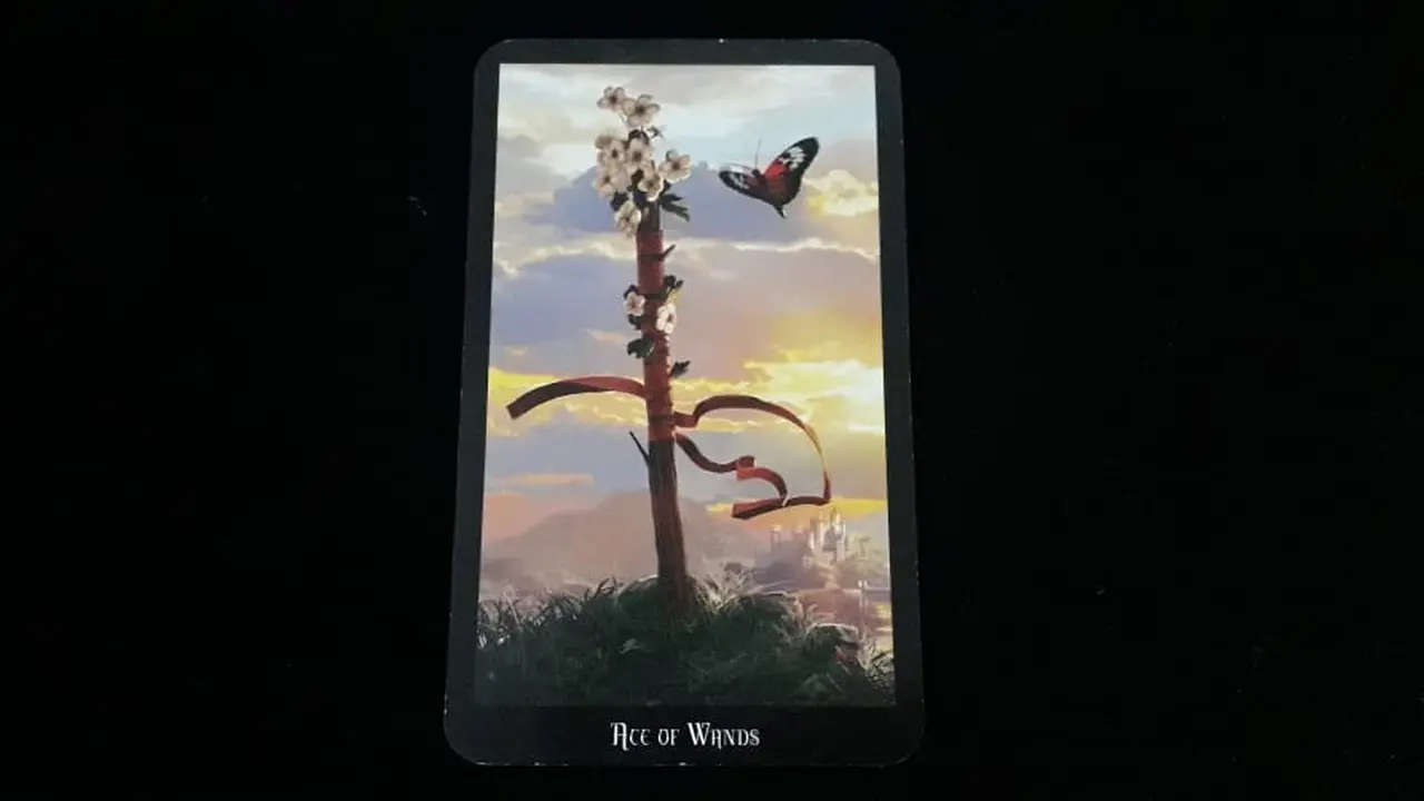 Tarot