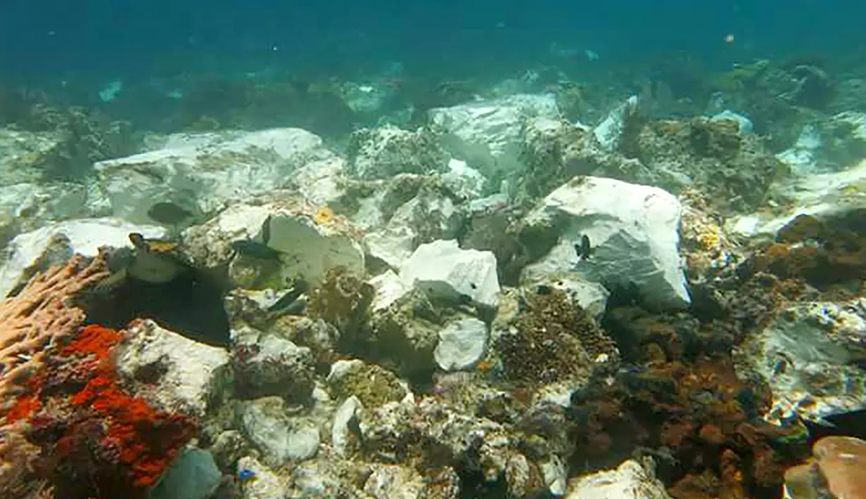 Kondisi terumbu karang yang rusak di perairan Raja Ampat usai dihantam kapal pesiar Inggris, Papua, Senin (13/3). Terumbu karang yang rusak diperkirakan mencapai 1.600 meter persegi. (AFP Photo/Bakamla)