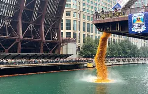90.000 Bebek Karet Dibuang ke Sungai Chicago, Ini Tujuannya
