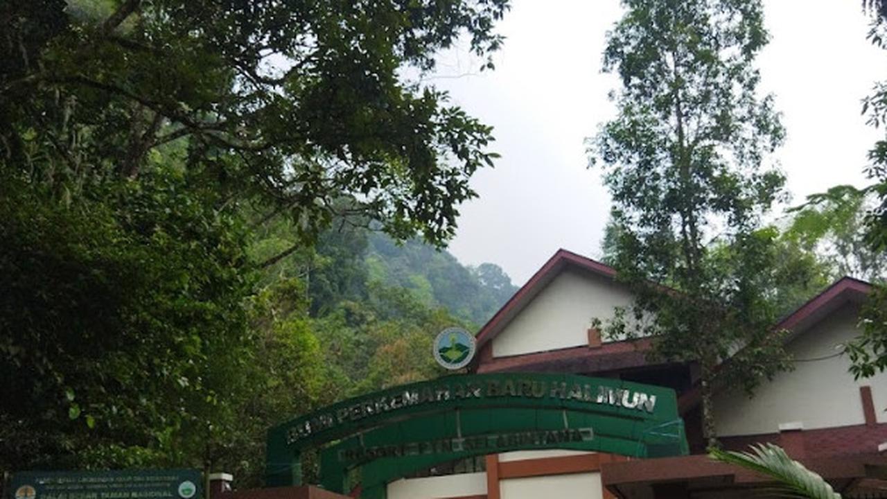 Wisata di Gunung Halimun
