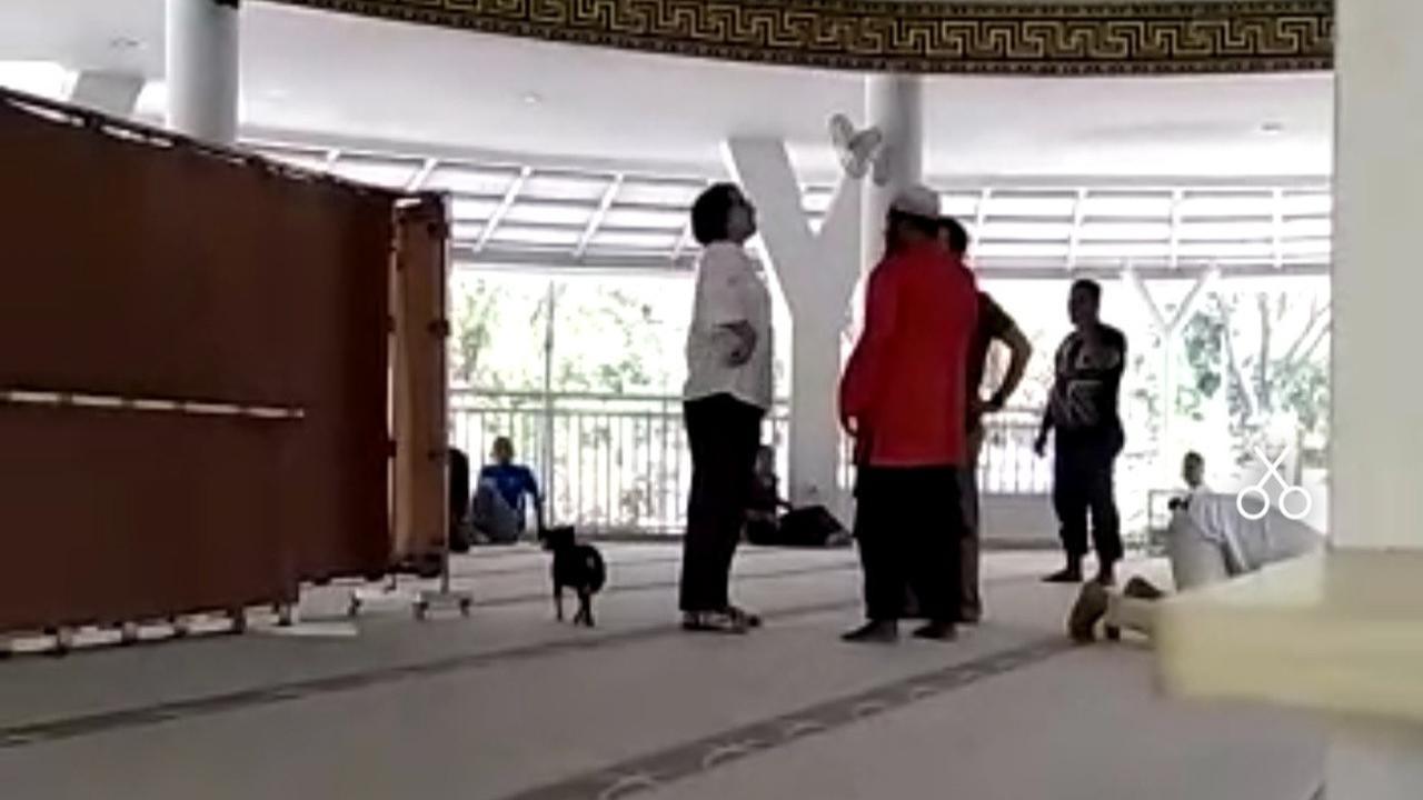 Wanita Bawa Anjing Masuk Mesjid