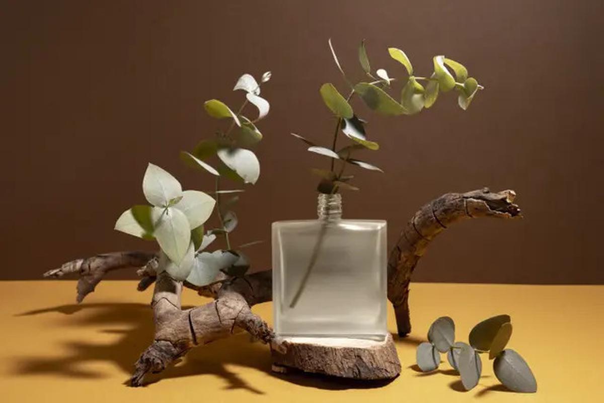 Hindari Sekarang, Aroma Lotion Ini Justru Bikin Kamu Digigit Nyamuk