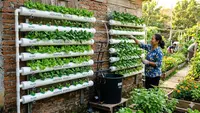 10 Tips Menata Pipa PVC Hidroponik di Dinding Rumah, Inspirasi untuk Lahan Terbatas yang Mudah Ditiru