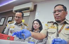 Barantin Gagalkan Penyelundupan Satwa Liar dari Thailand di Bandara Soekarno-Hatta