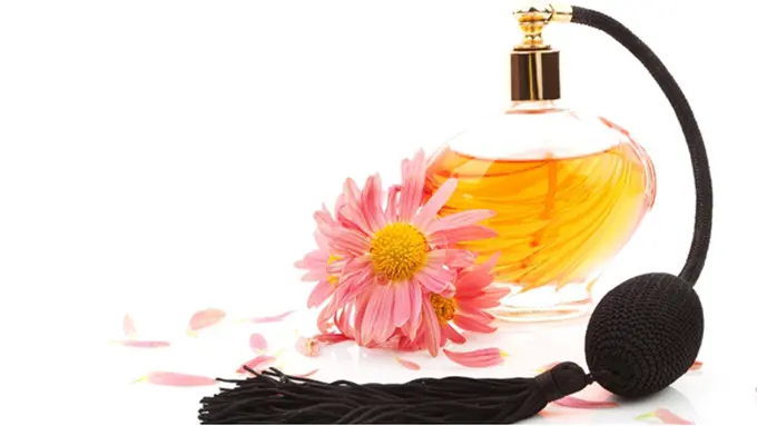 Courtesy ShutterStock.com