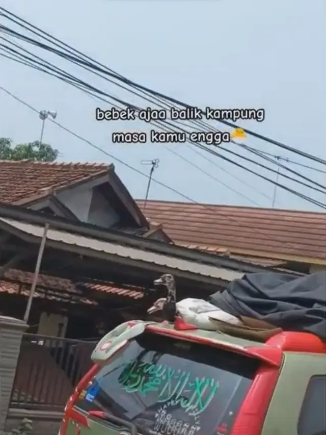 6 Potret Barang Bawaan Mudik Sampai ke Atap Mobil Ini Bikin Tepuk Jidat