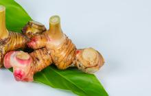 Dari Dapur ke Kesehatan, Solusi Alami Kencur untuk Batuk dan Radang!