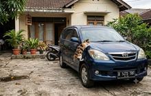 6 Cara agar Kucing Tidak Naik ke Kap Mobil, Efektif tapi Aman Tanpa Menyakiti Hewan