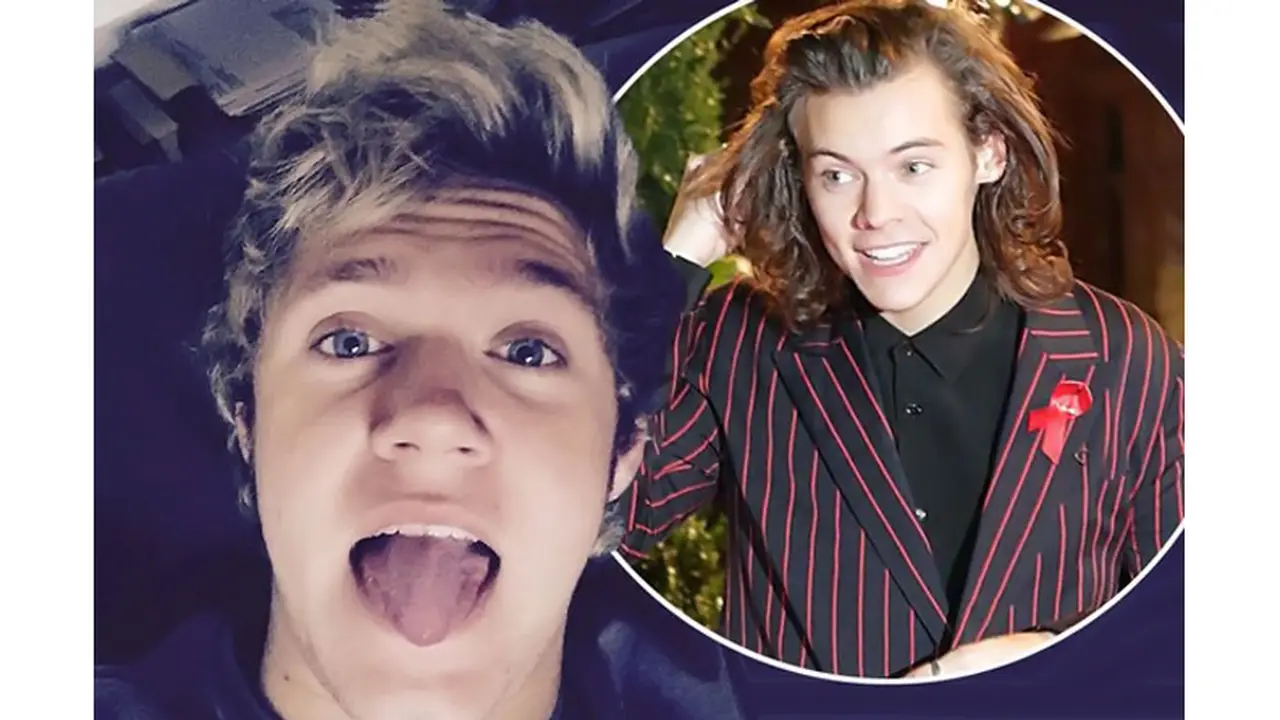 Niall Horan dan Harry Styles 