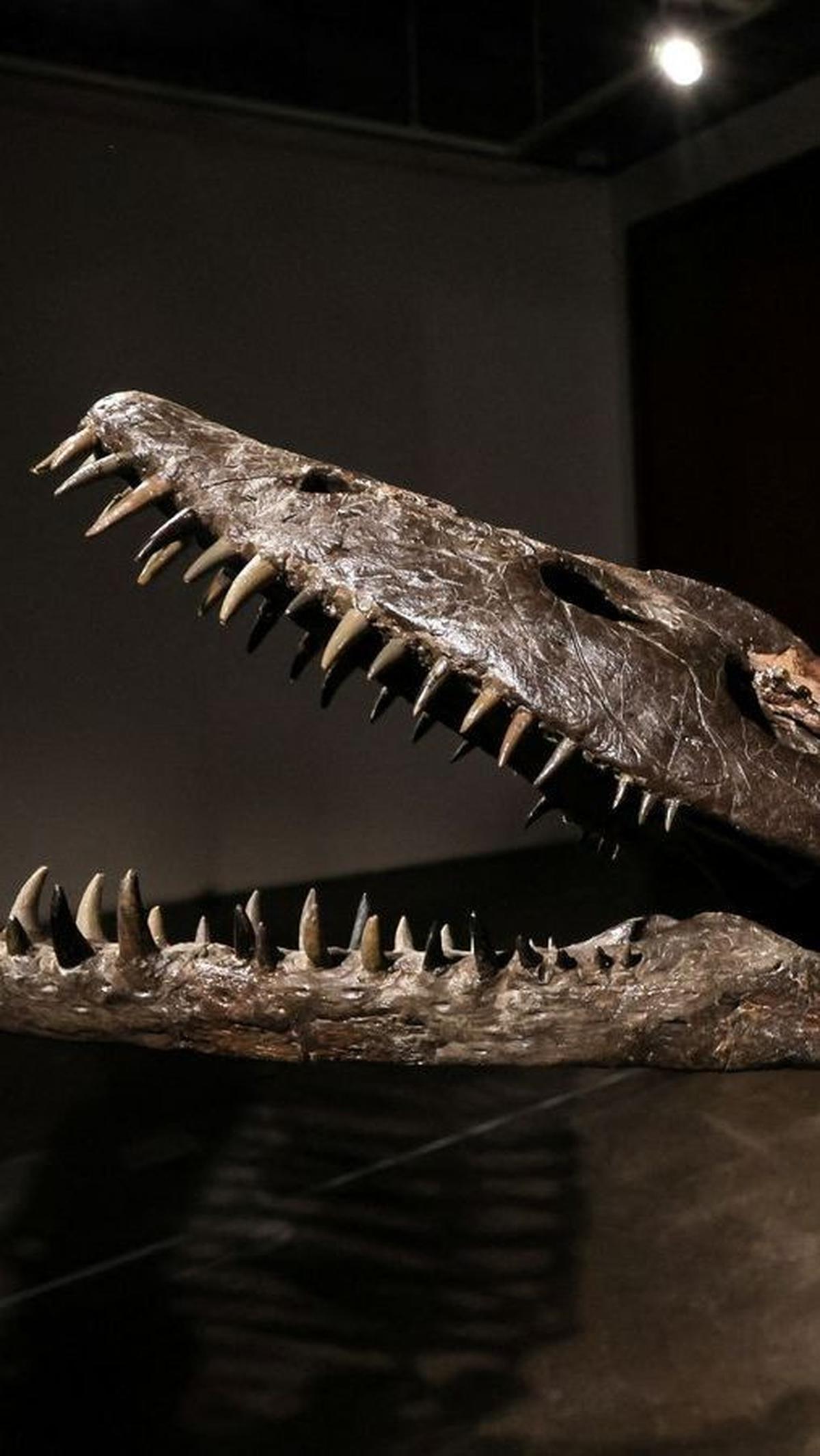 4. Persinggungan Cerita Rakyat dan Zoologi<br>