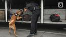 <p>Petugas mengerahkan anjing pelacak K9 BNN untuk memeriksa bagasi bus di Terminal Kampung Rambutan, Jakarta, Rabu (27/04/20222). Pemeriksaan dengan anjing pelacak tersebut dilakukan guna mengantisipasi peredaran narkoba di tengah arus mudik menyambut Lebaran atau Hari Raya Idul Fitri 1443 H. (merdeka.com/Arie Basuki)</p>