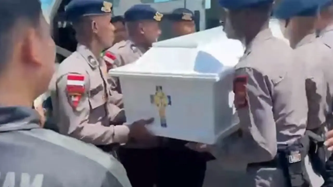 Satgas Damai Cartenz