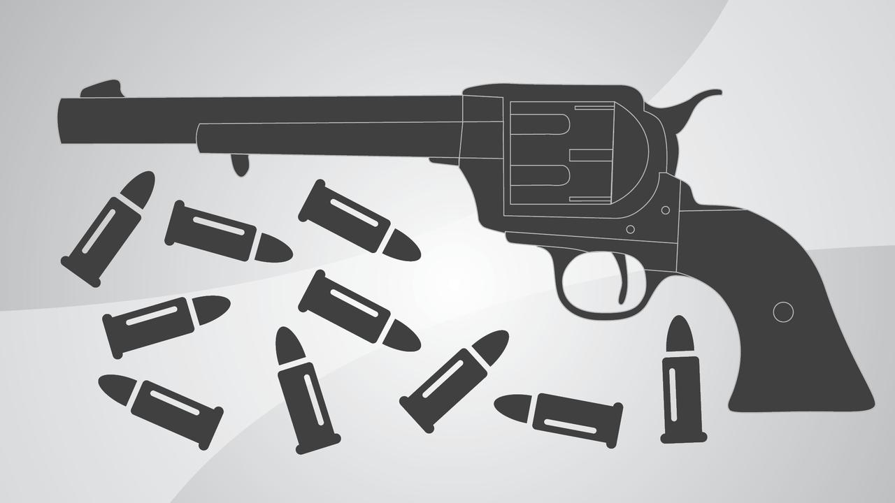 Begini Rumitnya Miliki Senjata Api