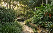 Konsep "Invisible Garden", Taman yang Baru Terlihat Saat Mendekat dan Hadirkan Kejutan di Rumah