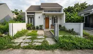 Mengatasi Rumput Liar yang Menjalar ke Halaman Rumah, Ini 7 Cara Efektifnya