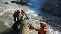 Relawan bersihkan Sungai Ciliwung (Liputan6/Achmad Sudarno)