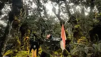 Gunung Torenali merupakan bagian Taman Nasional Lore Lindu di Sulawesi. (Dok: IG&nbsp;@rz_m09&nbsp;https://www.instagram.com/p/CnxnqeBSFhc/?igsh=YWVzYnZ1OTlsbDJ1)