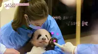 Blackpink bersama Fubao si bayi panda. (Tangkapan layar YouTube/ Blackpink)