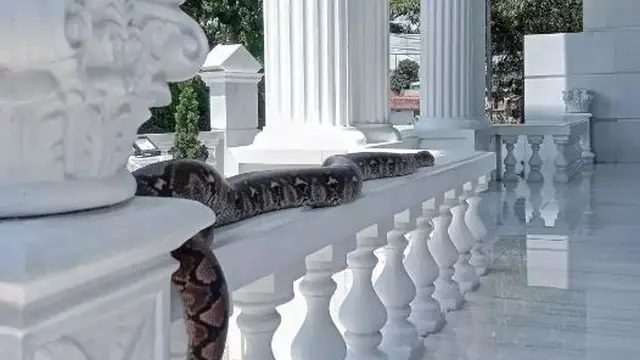 6 Potret Rumah Mewah di Garut yang Dijaga Ular Besar di Gerbangnya