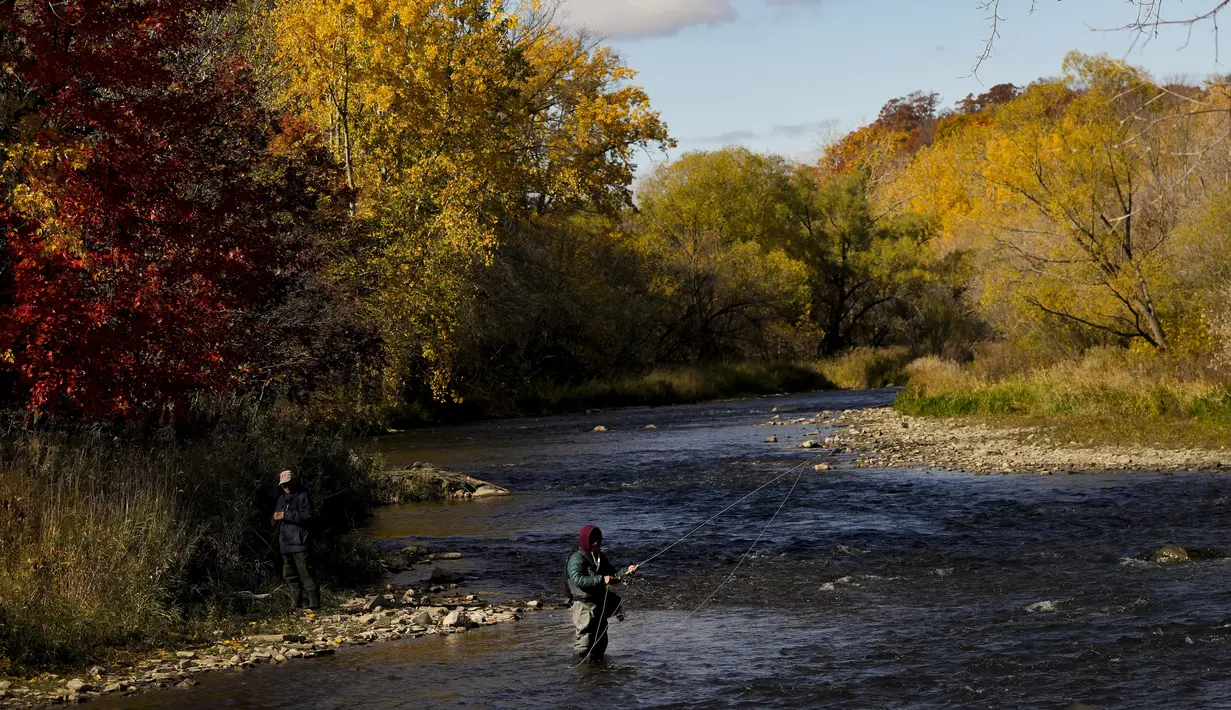Seorang nelayan melemparkan pancingnya saat dia memancing ikan trout di Credit River di antara warna-warni musim gugur di Mississauga, Ontario, pada Kamis, 27 Oktober 2022. (Nathan Denette/The Canadian Press via AP)