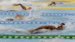 Atlet renang saat berlaga pada Jakarta Open 2019 di Stadion Akuatik, Jakarta, Kamis (26/9). Ajang ini juga sebagai seleksi akhir tim Indonesia untuk gelaran SEA Games 2019 dan Pra PON 2020 di Papua. (Bola.com/M Iqbal Ichsan)