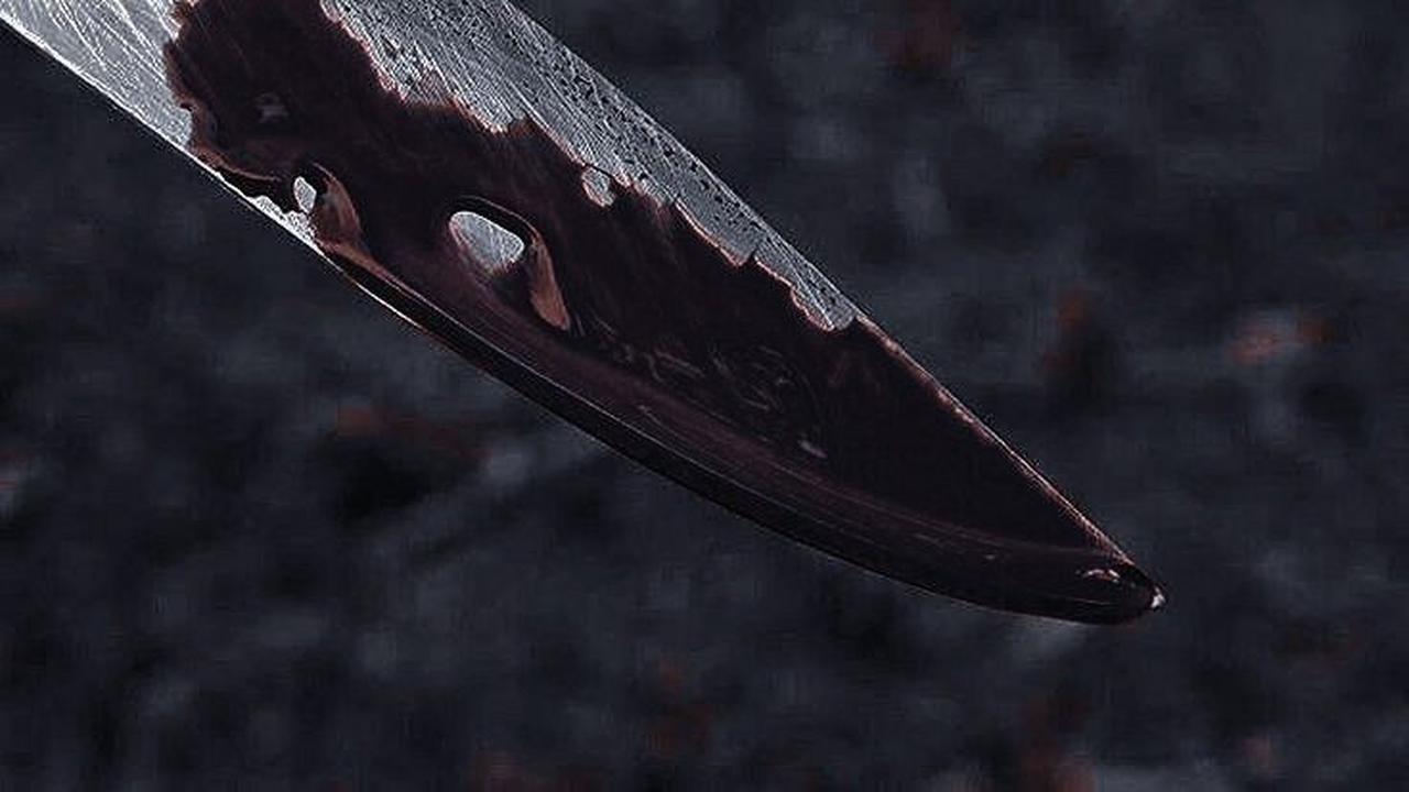 Huntingdon Train Mass Stabbing Incident: Nine Victims Seriously Injured